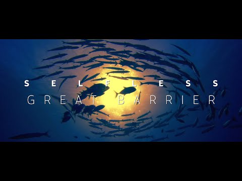 Selfless Orchestra: Great Barrier - A Live Music and Immersive Video Performance