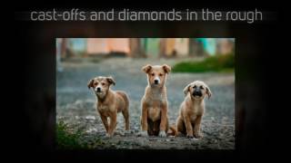 You Are Loved, by Catie Curtis and Fred Wilhelm