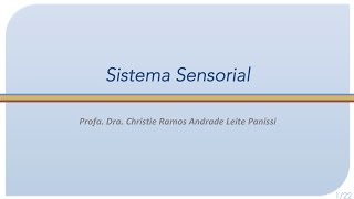 Sistema Sensorial