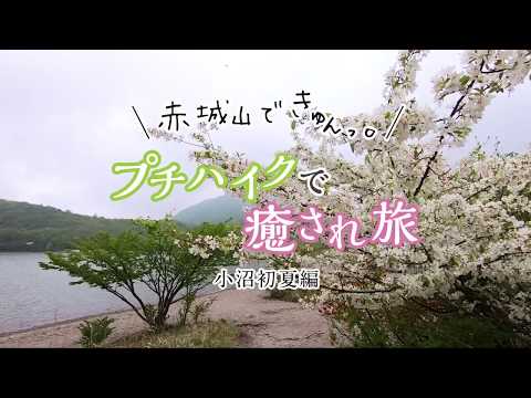 赤城山できゅんっ。プチハイクで癒され旅　小沼 初夏編