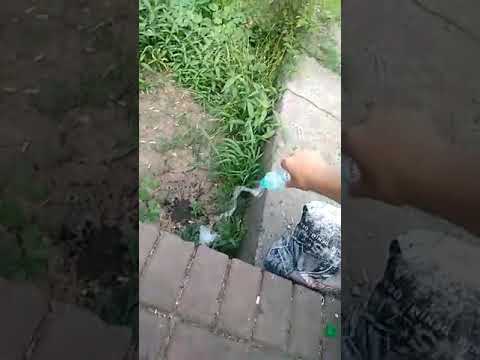 Муніципали спіймали жінку, яка продавала сурогат неподалік вокзалу. ВІДЕО