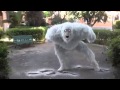 Action Movie The Ice Age Monster