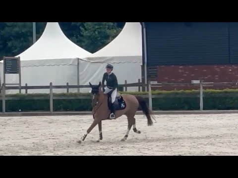 Togo di Magico de Res Nova - Show