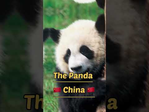 National Animals of Different Countries in the World (Part 2) #youtubeshorts #viralshort #shortvideo