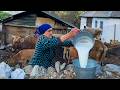 The Harsh But Happy Life Of An Elderly Couple In An Old Village Far From Civilization