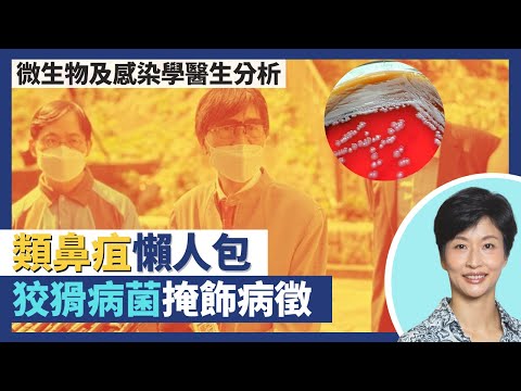 類鼻疽肆虐深水埗 類鼻疽症狀、成因懶人包！狡猾的類鼻疽伯克氏菌掩飾病徵難斷症？類鼻疽個案死亡率達40%｜王建芳醫生｜人類健康研究所