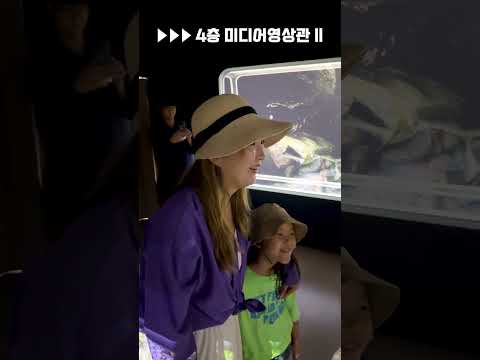 청양 관광 끝판왕 [청양칠갑타워] 내부 공개!!