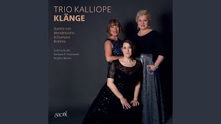 5 Duets, Op. 66: 3. Am Strande. Ruhig