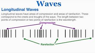 Waves: Amplitude, Period, Frequency, Wavelength, Crests & Troughs, Wavelength of a Longitudinal Wave