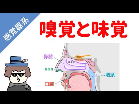 グネタム・グネモン