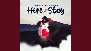 HERE TO STAY (feat. RIC HASSANI)