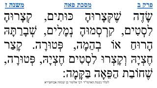 מסכת פאה פרק ב משנה ז