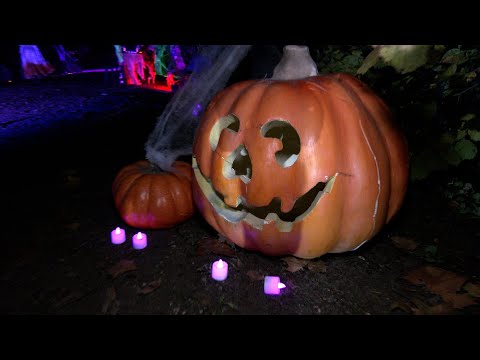 Halloween 2025. Montichiari.