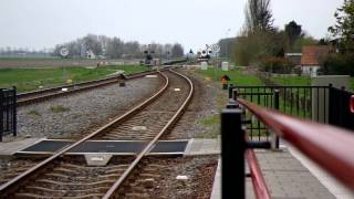 preview picture of video 'Spoorwegovergang Warffum'