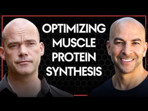 299 ‒ Optimizing muscle protein synthesis: protein quality and quantity, & the key role of training