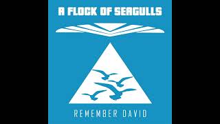 A Flock Of Seagulls - Remember David (Radio Edit)