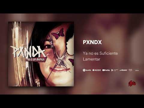 Ya No Es Suficiente Lamentar - Panda