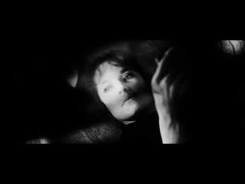 natural/electronic.system. - Pegaso