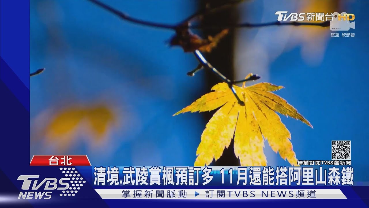 賞楓遊!花光5倍券折2千PK國旅券露營送千元