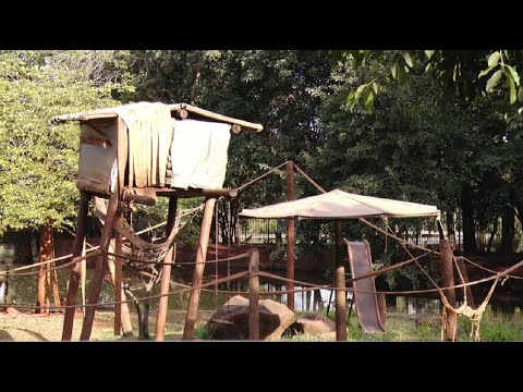 Zoológico de Piracicaba busca parcerias para reformas dos recintos