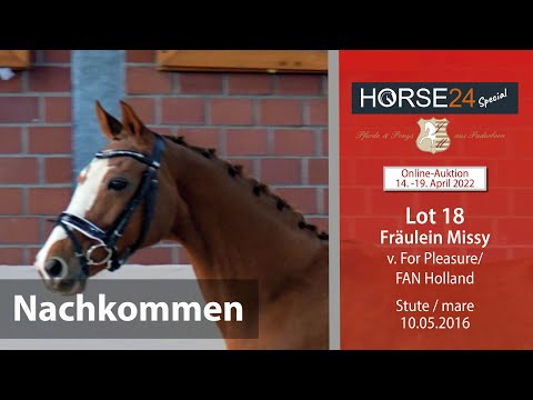 Horse24 Special Auktion Mielesko-Vekens Nachkommen Lot 18 Fräulein Missy v. For Pleasure-FAN Holland