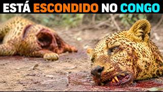 🚨 O LADO OBSCURO DO CONGO: O que VIVE ESCONDIDO na selva MAIS PERIGOSA do mundo