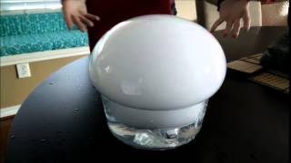 Science with the Millers - Dry Ice Bubble