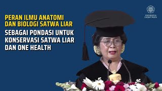 Download lagu Pengukuhan Prof. Dr. drh. Tri Wahyu Pangestiningsih, M.P., Guru Besar Fakuktas Kedokteran Hewan UGM mp3 Download lagu Pengukuhan Prof. Dr. drh. Tri Wahyu Pangestiningsih, M.P., Guru Besar Fakuktas Kedokteran Hewan UGM mp3