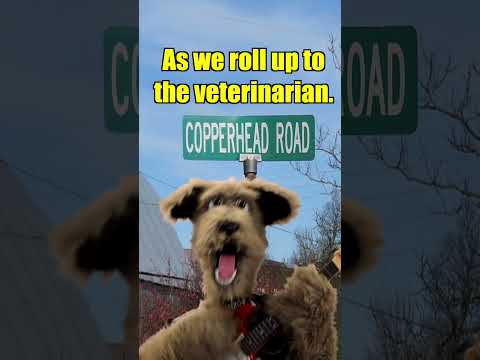 Steve Earle - Copperhead Road.