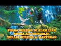 Suara Burung Liar Dan Suara Air Di Hutan Membuat Suasana Nyaman Dan Damai Untuk Terapi Dan Meditasi