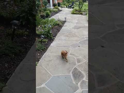 potato & Melida Bazaldua