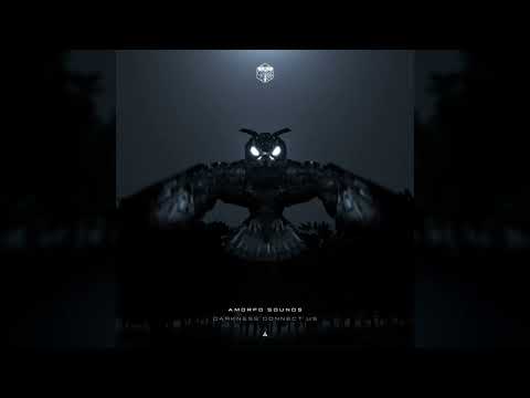 Amorfo Sounds - Darkness Connect Us (Cosmic Shaman Remix)