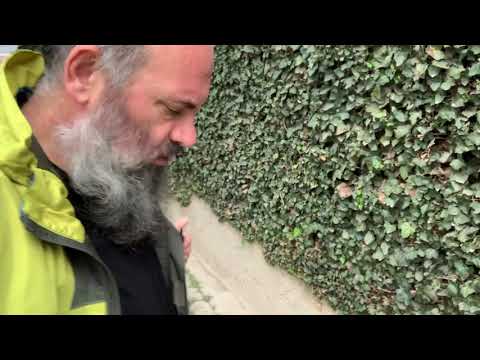 Pastroni oborret dhe sokaket tuaja - Hoxhë Bekir Halimi