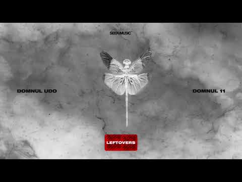 Domnul Udo - N-am Treaba (feat. Killa Fonic)