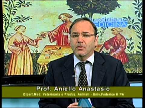 Siccome la medicina per vermi per cuccioli è chiamata Per cuccioli da vermi