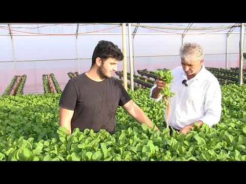 Expert em hortaliças: Magrão compartilha a rotina de produção e estudos