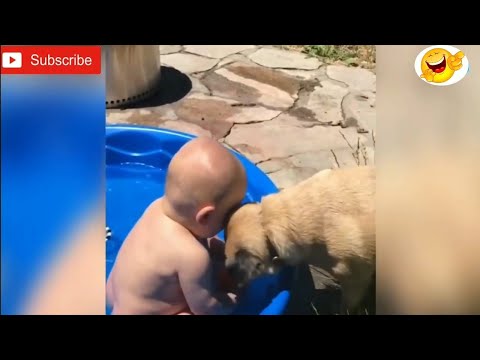 Dogs and baby | cute + funny moments 2020.