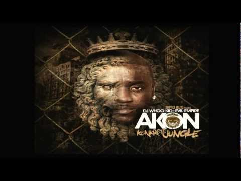 Akon ft. Yo Gotti - We On