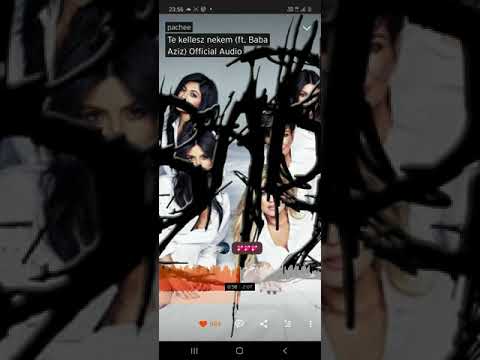 Pachee te kellesz nekem (ft. Baba aziz)