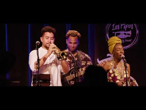 Los Pipos | Official Promo Video