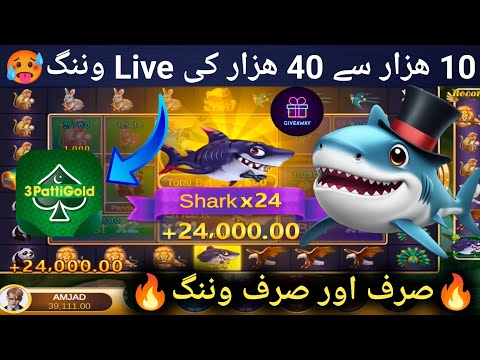 3 Patti Gold Gameplay — Zoo Roulette Tricks 2025