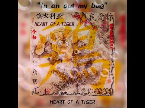 4TL GBABY - IN AN OUT MY BAG