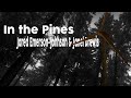 In the Pines - Jared Emerson-Johnson & Janel ...
