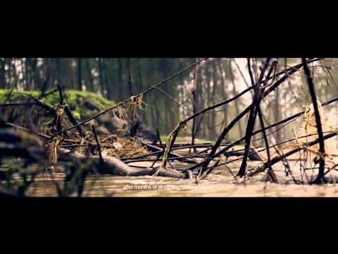 Vimaljith Vijayan Behind the Sound- Video Portrait