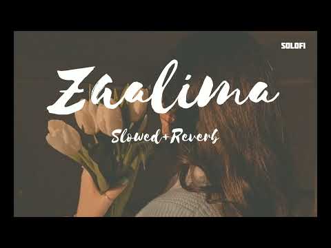 Zaalima (slowed+reverb) by SoLofi