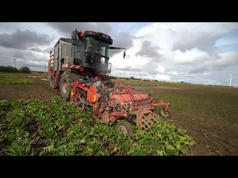 Récolte 2020 des essais betteraves par la Blue Mobil KWS.