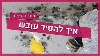 עשה זאת בעצמך - עובש בקיר - איך להסיר עובש?