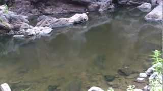 preview picture of video 'LOS MONOS-Cascadas de Agua Termal'