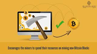 Blocklogy - Bitcoin Mining & Rewards