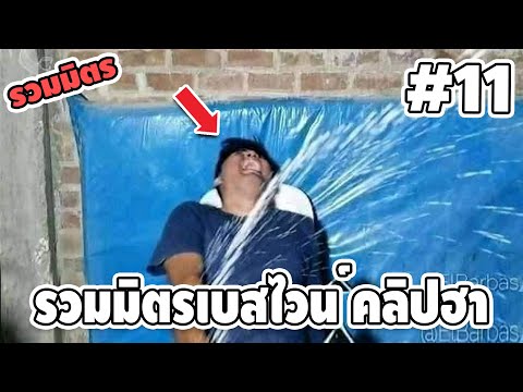 รวมมิตรเบสไวน์ คลิปฮาๆ #10 - [ พากย์นรก ] | easy boy X2